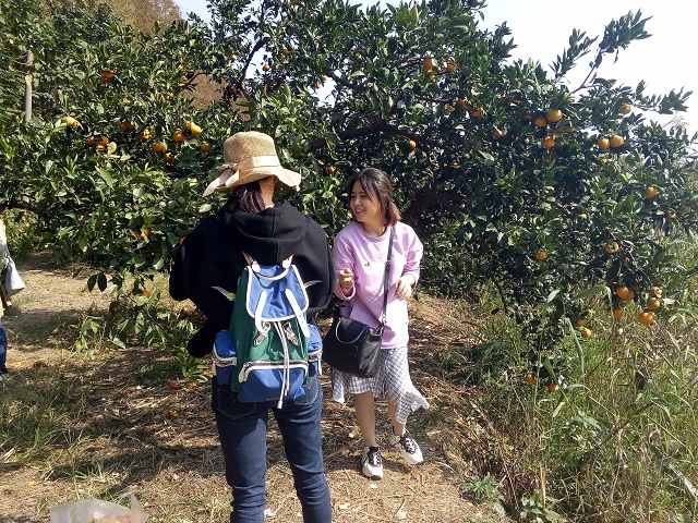QQ图片20181029094311.jpg