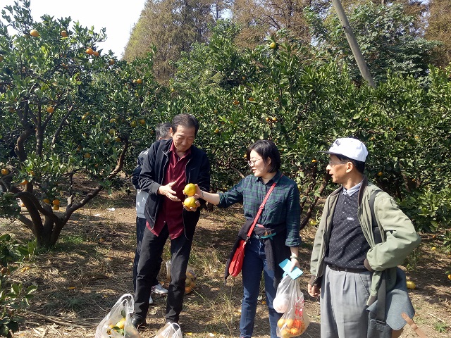 QQ图片20181029094319.jpg